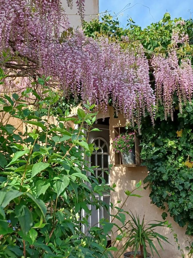 Suite Avec Jardin Entre Aix En Provence, Luberon Et Verdon Peyrolles-en-Provence Exterior foto
